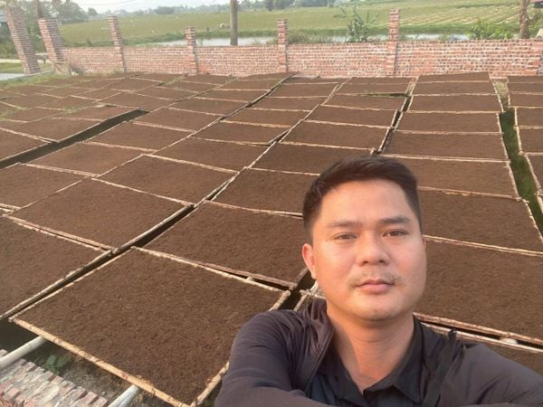 Cách Chọn Thuốc Lào Ngon: Phân Biệt Thuốc Lào Tiên Lãng, Vĩnh Bảo Và Thanh Hóa
