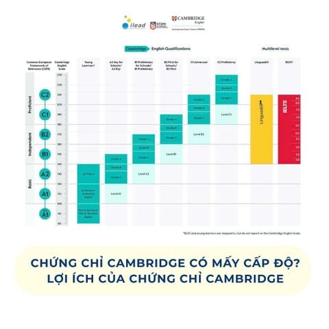Chứng chỉ Cambridge có mấy cấp độ? Lợi ích của chứng chỉ Cambridge