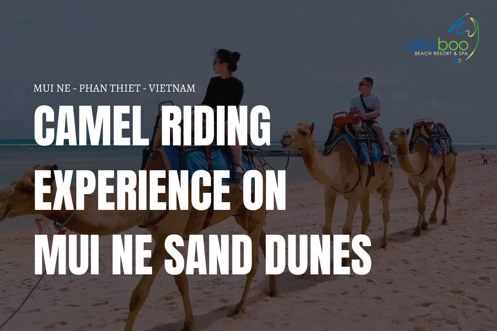 Camel Riding Experience on Mui Ne Sand Dunes - Vietnam