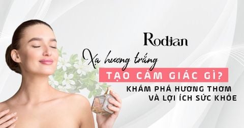 Xạ Hương Trắng Tạo Cảm Giác Gì? Khám Phá Hương Thơm Và Lợi Ích Sức Khỏe