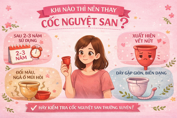 Khi Nào Thì Nên Thay Cốc Nguyệt San? Dấu Hiệu & Thời Gian Chuẩn Chuyên Gia