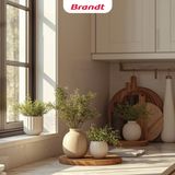 SUSTAINABLE LIVING x BRANDT – PHONG CÁCH SỐNG BỀN VỮNG BẮT ĐẦU TỪ NHỮNG LỰA CHỌN THÔNG MINH