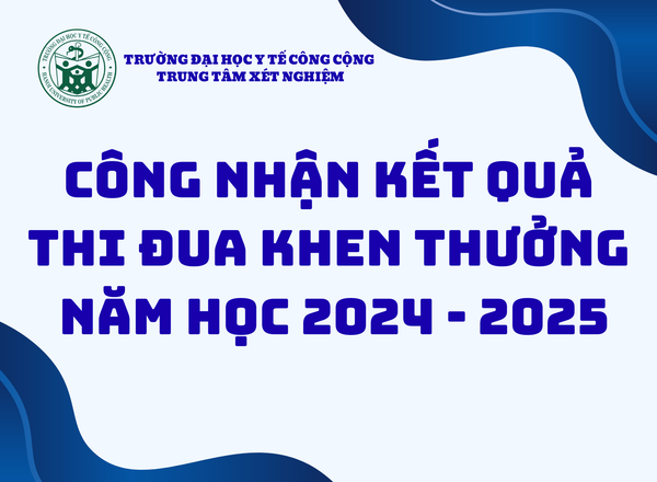 Quyết định về việc công nhận bình xét thi đua khen thưởng năm học 2024 - 2025
