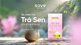 Tác dụng của trà sen đối với sức khỏe