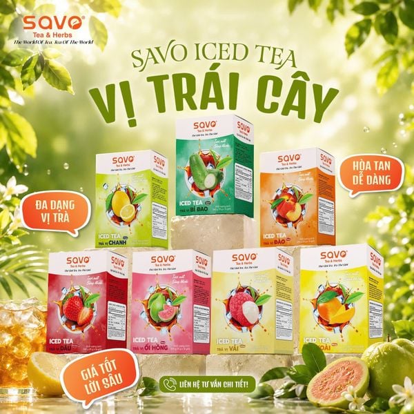 BST Trà Hòa Tan vị Trái Cây dạng hộp. Nguồn: savotea.com