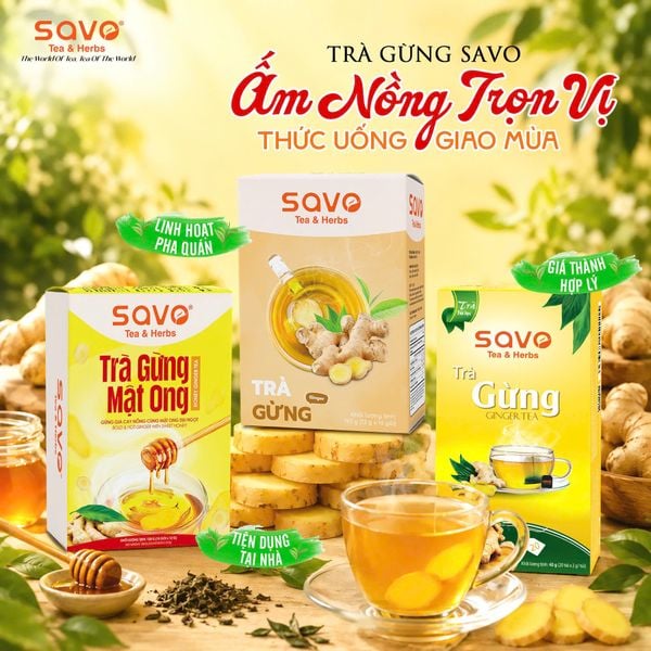 Bộ sưu tập trà gừng SAVO giá tốt
