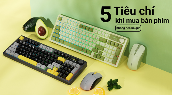 Đừng mua bàn phím nếu bạn không kiểm tra 5 tiêu chí này