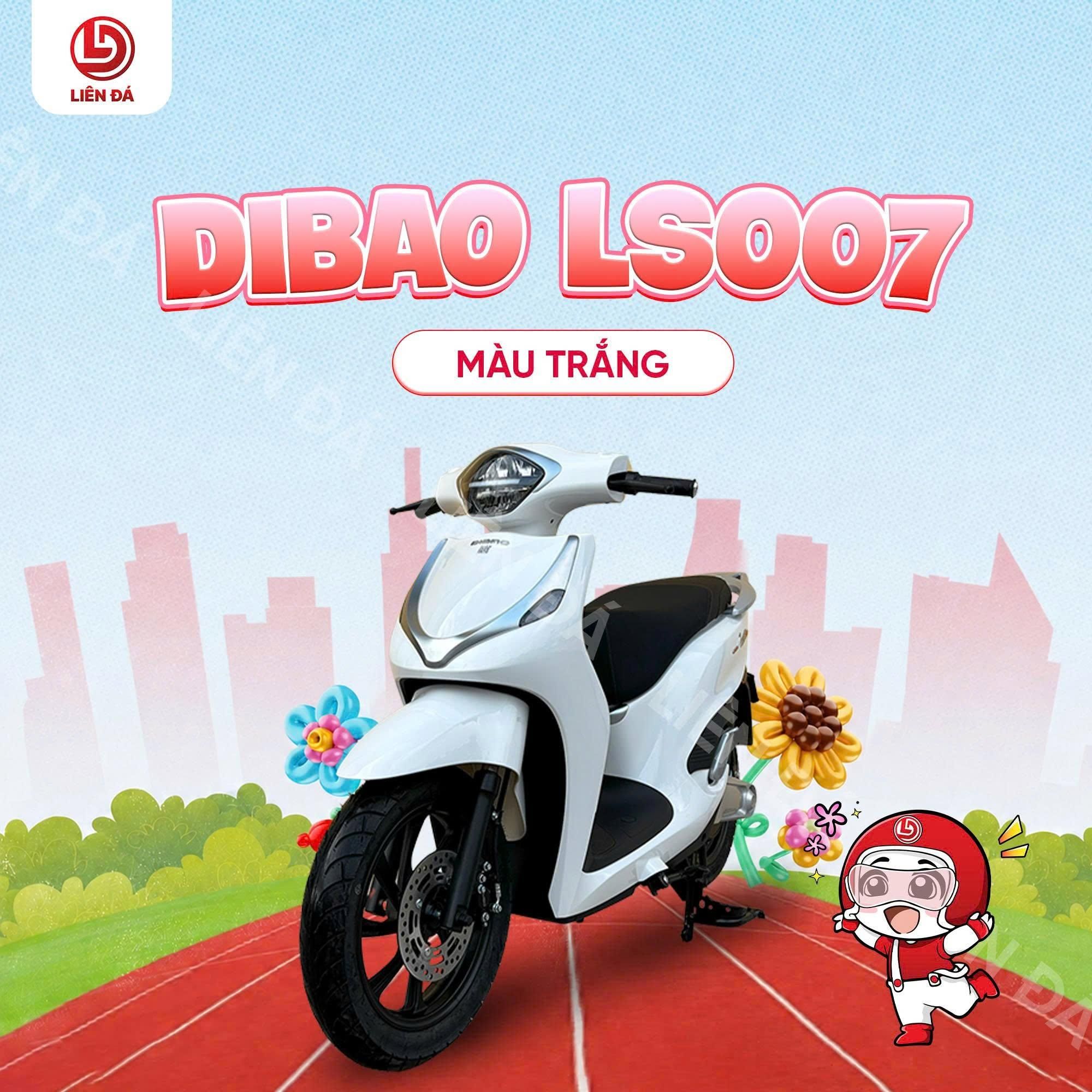 DIBAO LS007