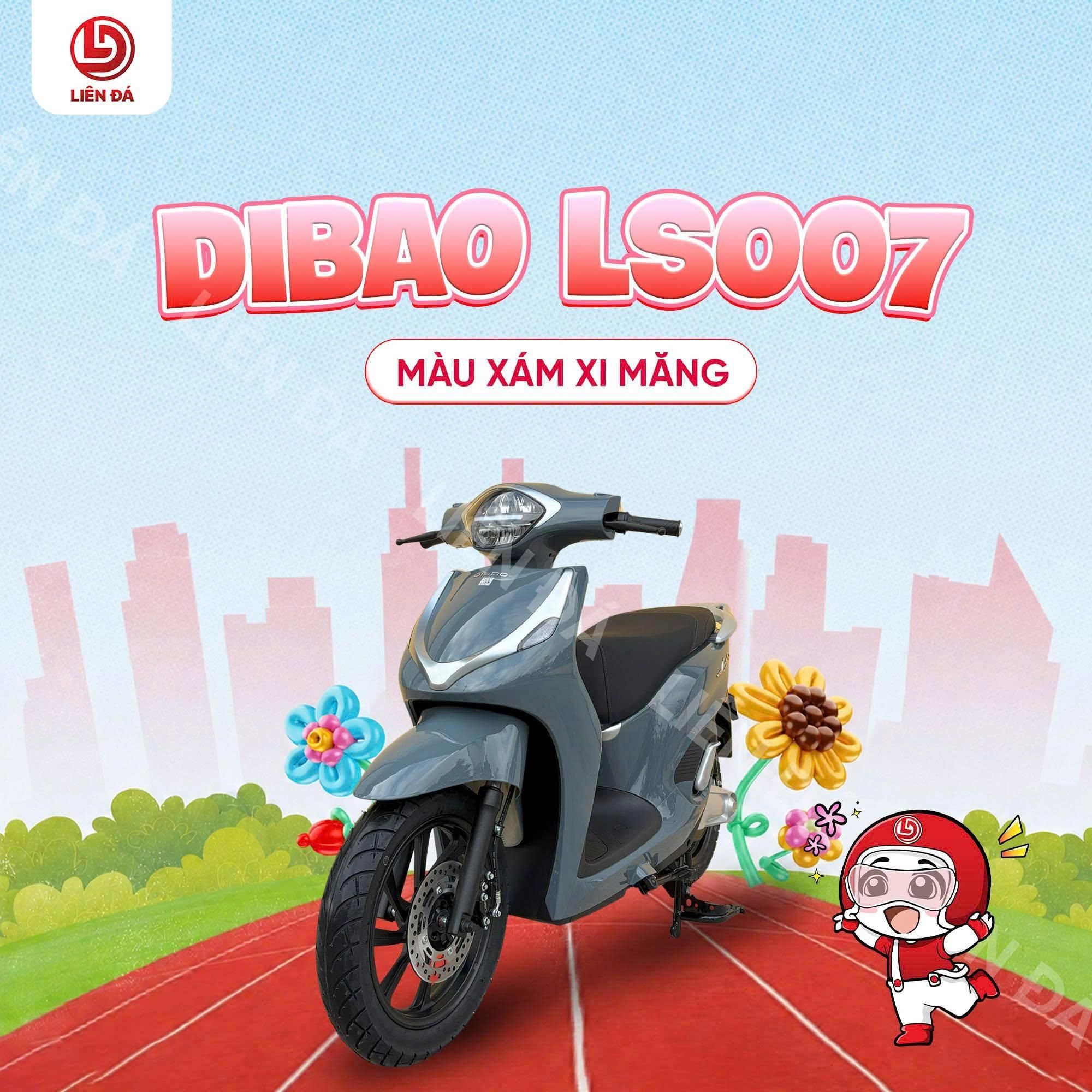 DIBAO LS007