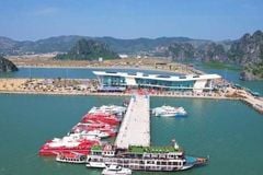 van don tu thuong cang di san den dac khu tuong lai va tinh hoa hai san bac bo