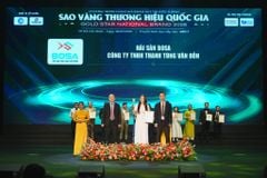 hai san bosa vinh du dat giai thuong top sao vang thuong hieu quoc gia 2026