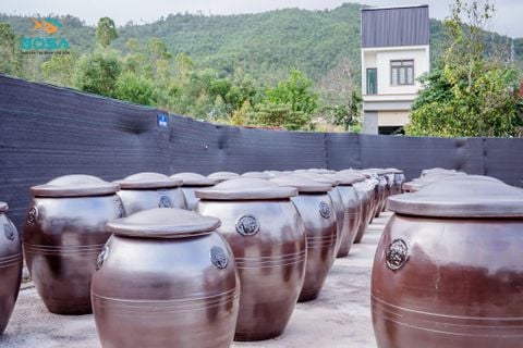 Nước mắm vị sá sùng BOSA – Đưa vị ngọt biển Vân Đồn vào căn bếp hiện đại