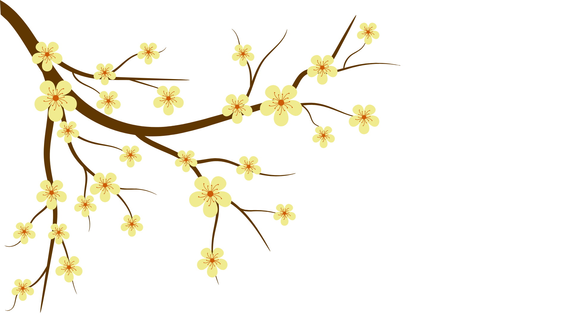 Mai vàng bên trái