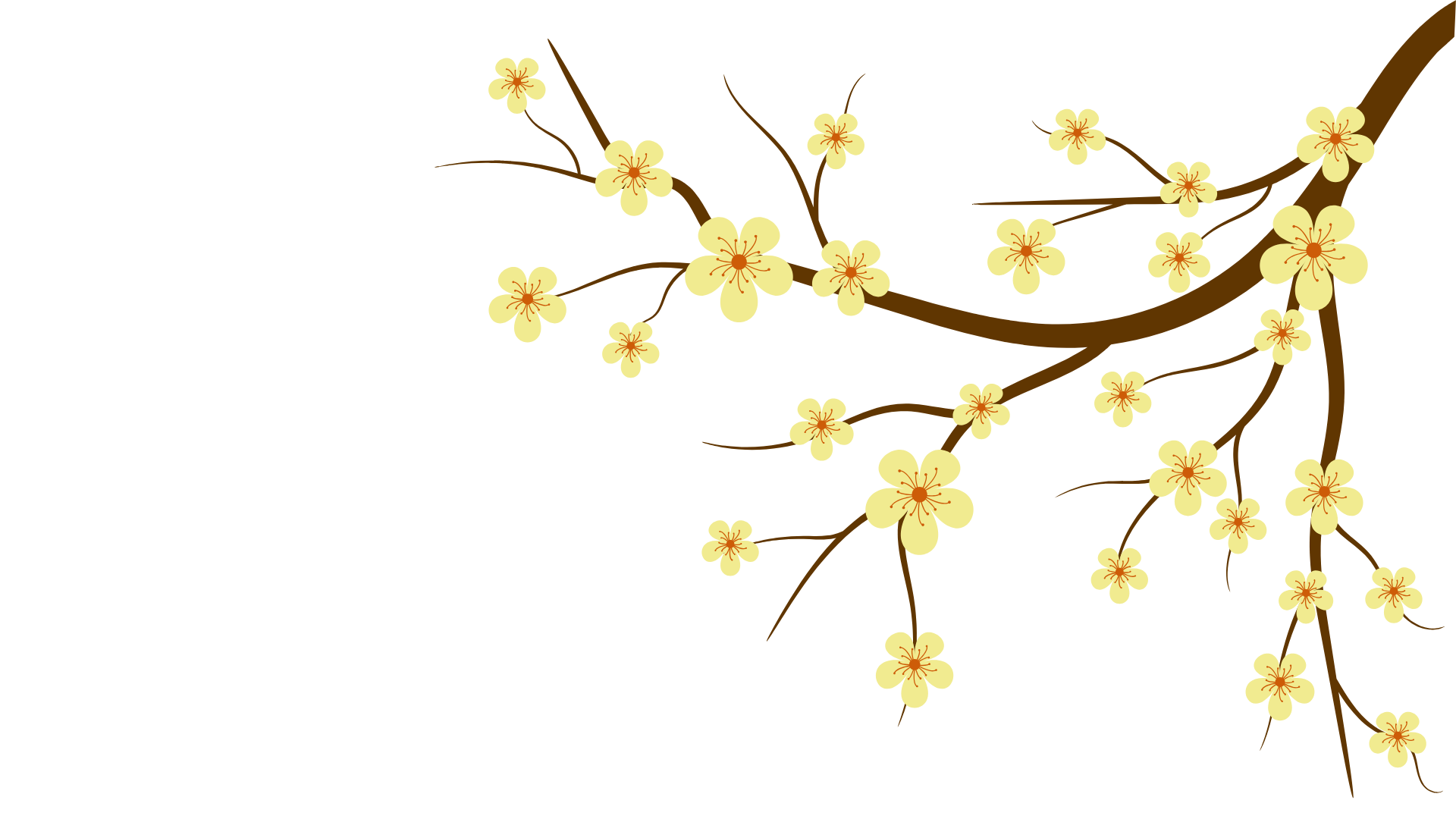 Mai vàng bên phải