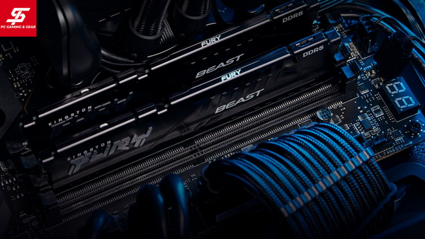 Computer Ram 5 RAM DDR5 cho PC, laptop chính hãng – Sintech