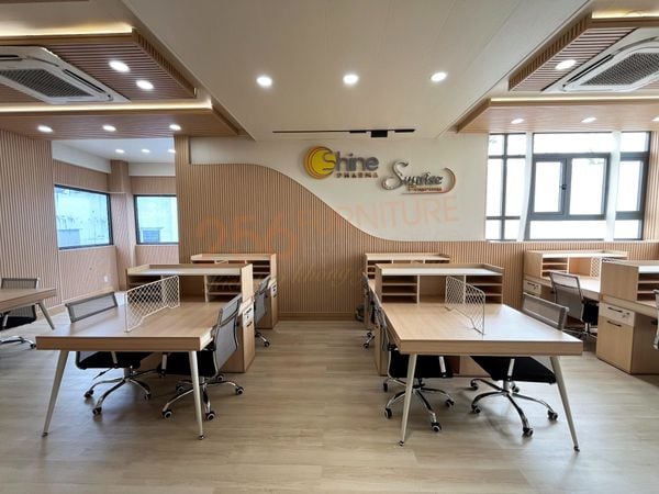 Thi Công Trọn Gói Nội Thất Văn Phòng - Dự Án Sunrise Pharma