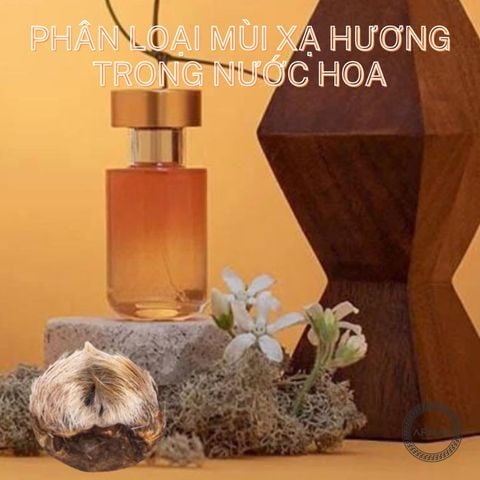 Phân loại mùi xạ hương trong nước hoa, loại nào được dùng nhiều nhất?