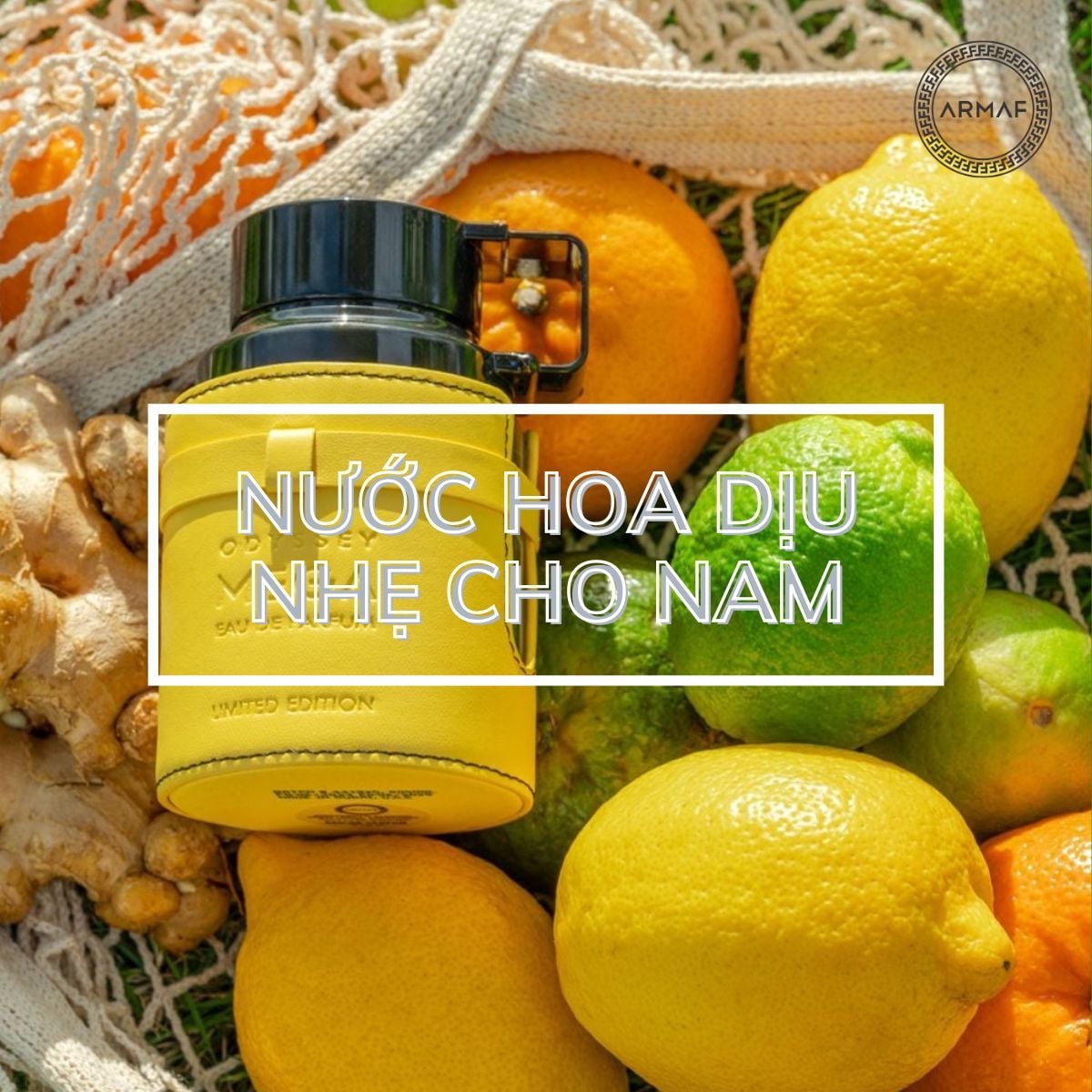 Nước hoa dịu nhẹ cho nam: 15+ “item” NỔI BẬT NHẤT