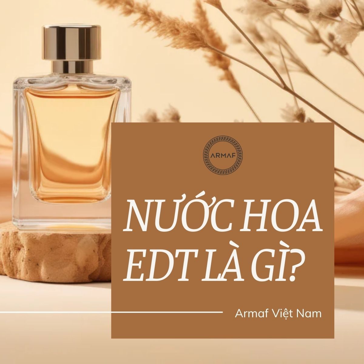 Nước hoa EDT là gì, CÓ THƠM KHÔNG? [CHI TIẾT NHẤT]