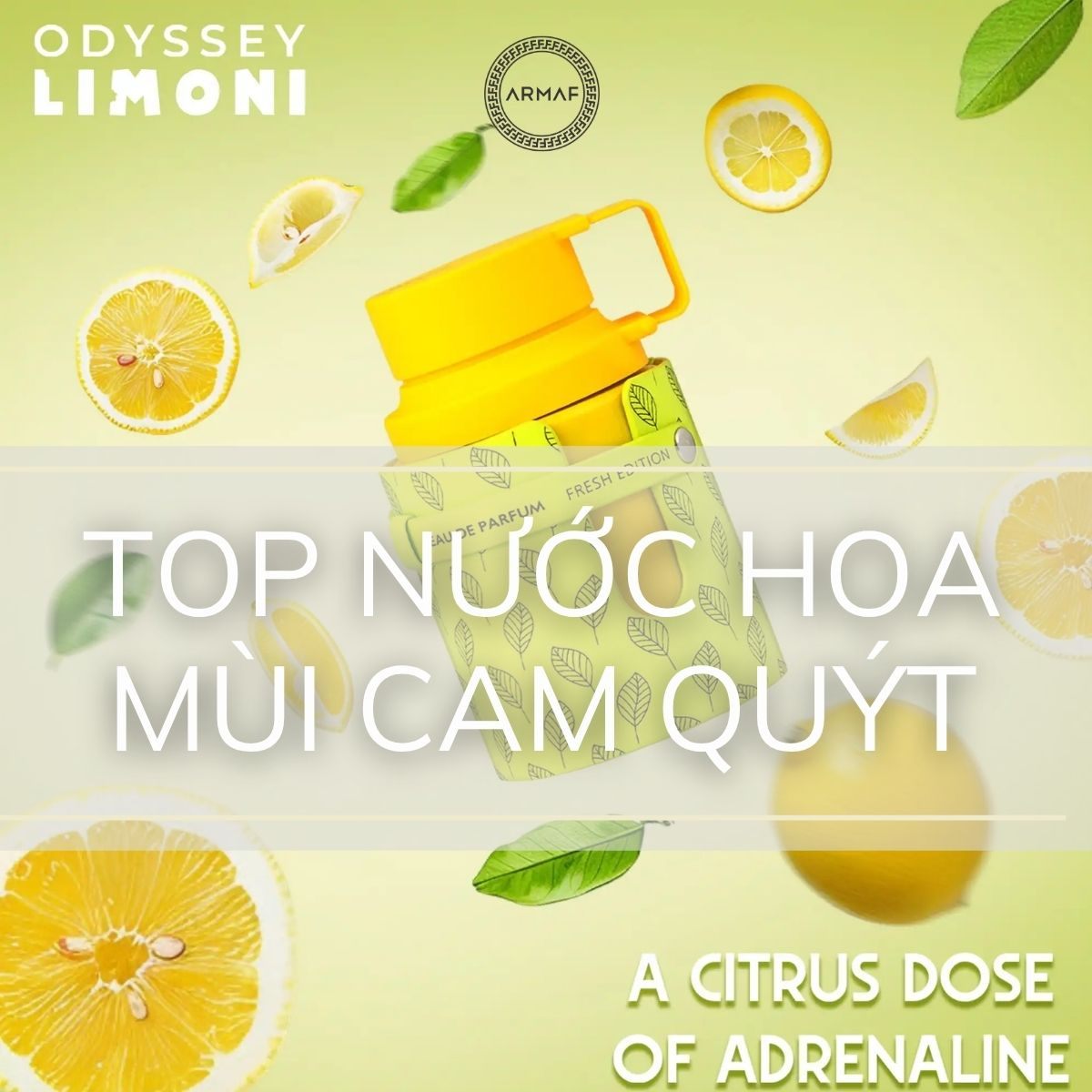 TOP 8 chai nước hoa mùi cam quýt được yêu thích nhất