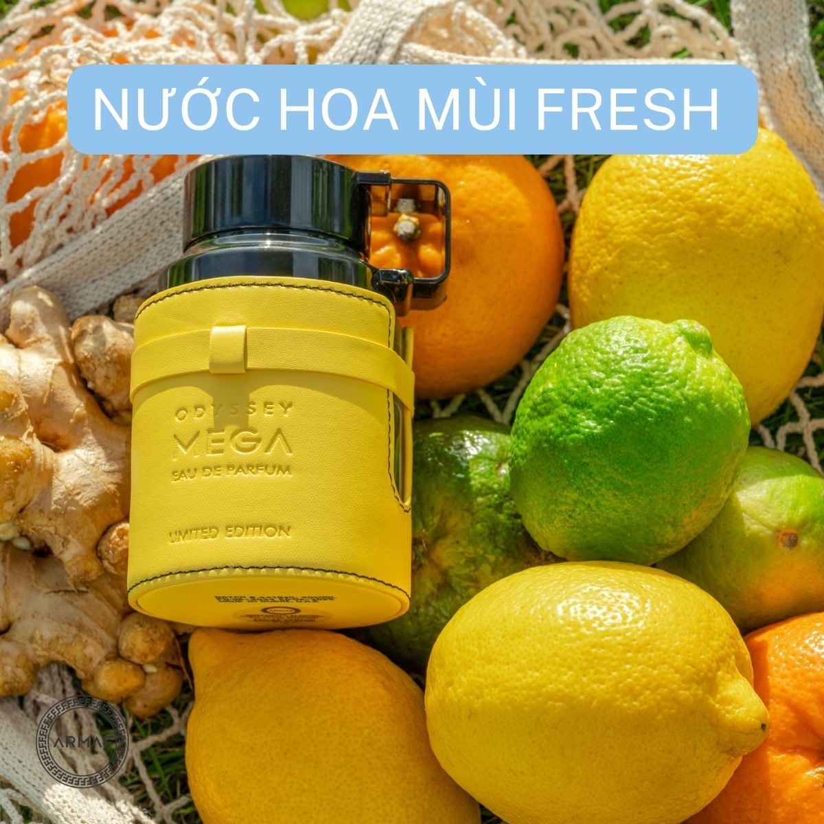 Điểm danh những chai nước hoa mùi Fresh đang “nổi như cồn”