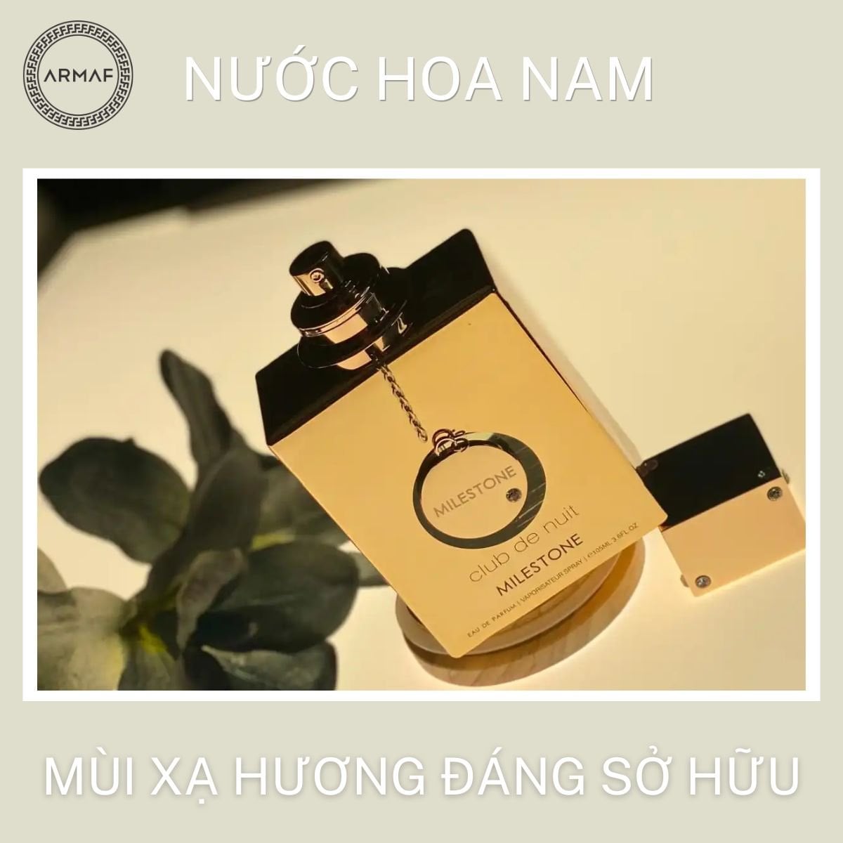 Gợi ý chai nước hoa mùi xạ hương cho nam đáng sở hữu hiện nay