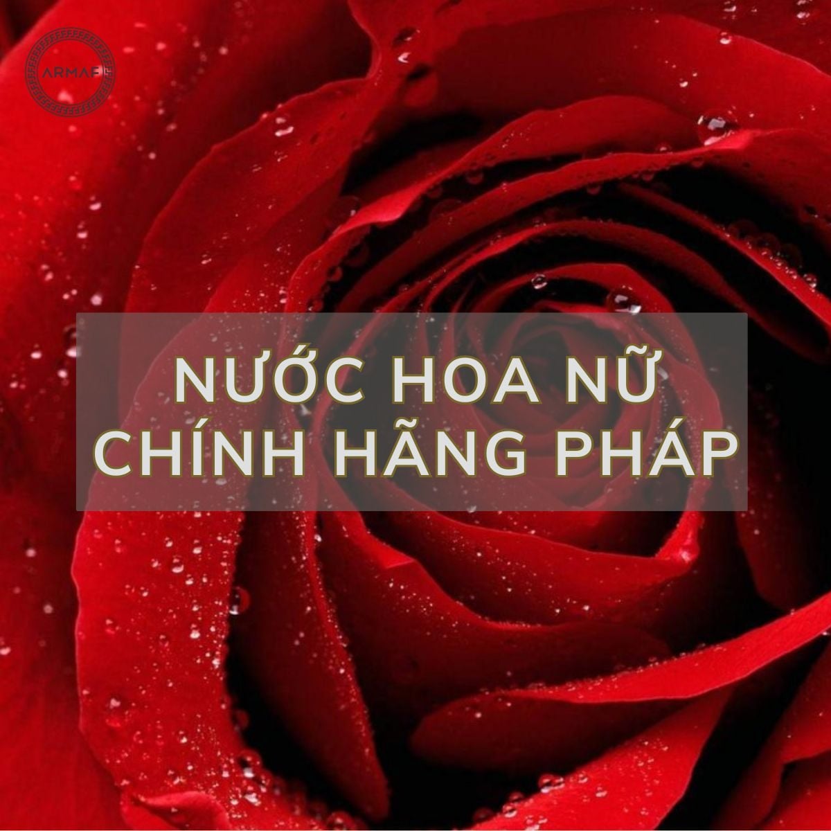 Khám phá những chai nước hoa nữ chính hãng Pháp cao cấp