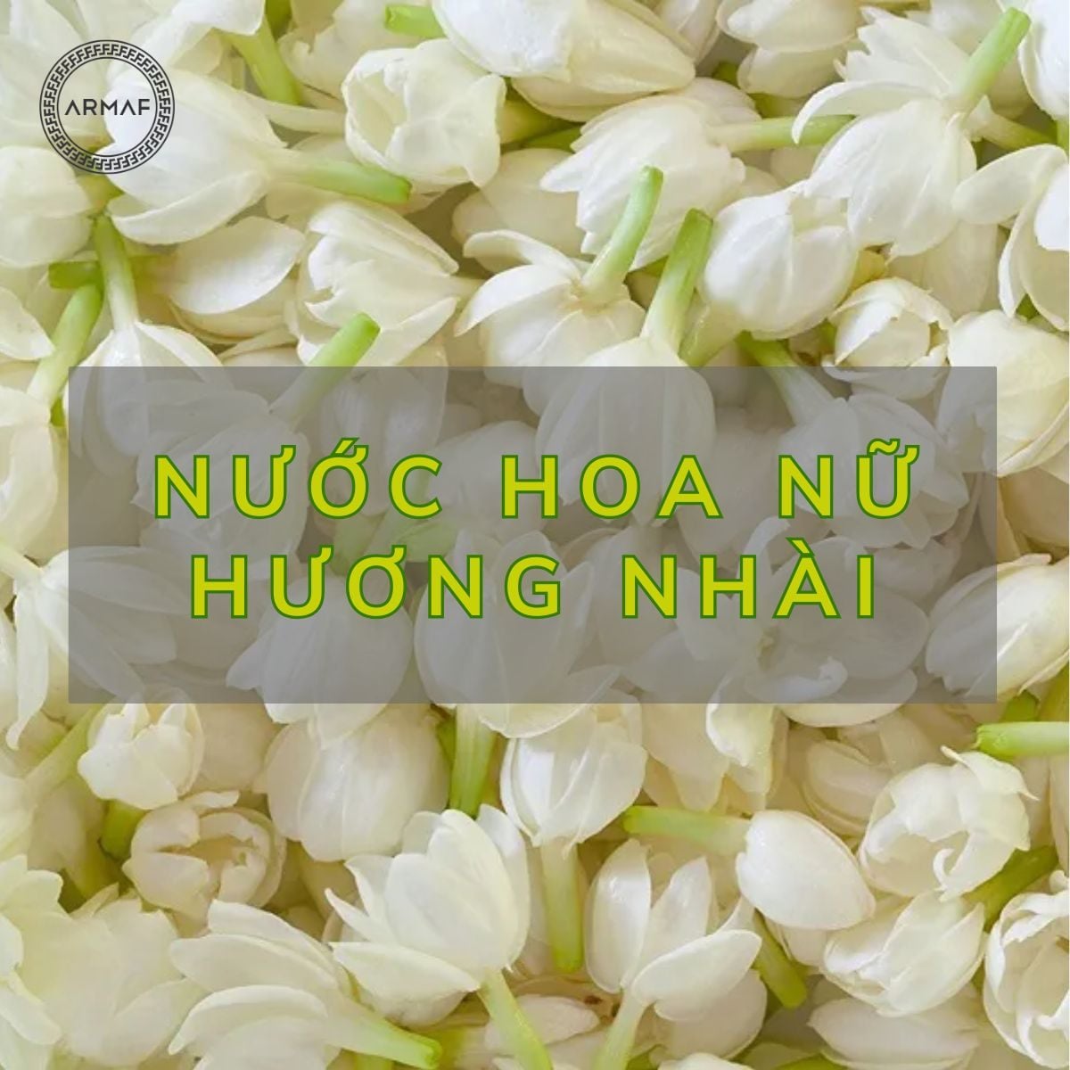 TOP nước hoa nữ hương nhài NHẸ NHÀNG, QUYẾN RŨ