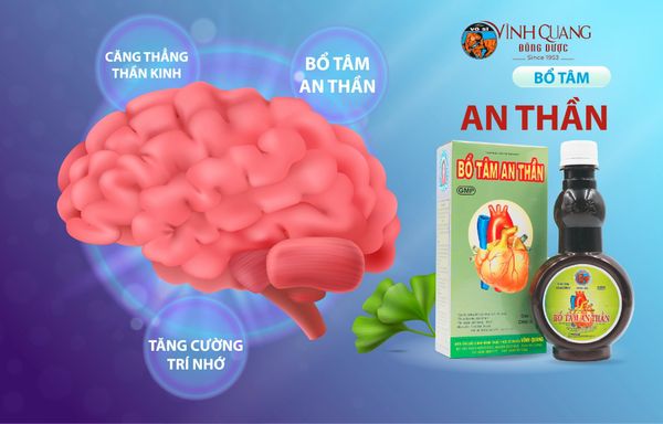Bổ tâm an thần từ Đông dược – Giải pháp bền vững cho trí óc minh mẫn mỗi ngày