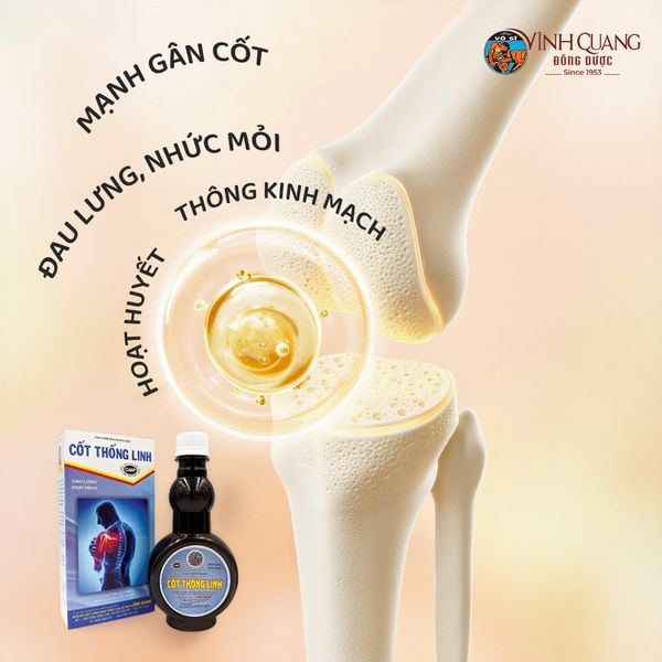 Cốt Thống Linh – Giải pháp chăm sóc xương khớp giúp vận động thoải mái