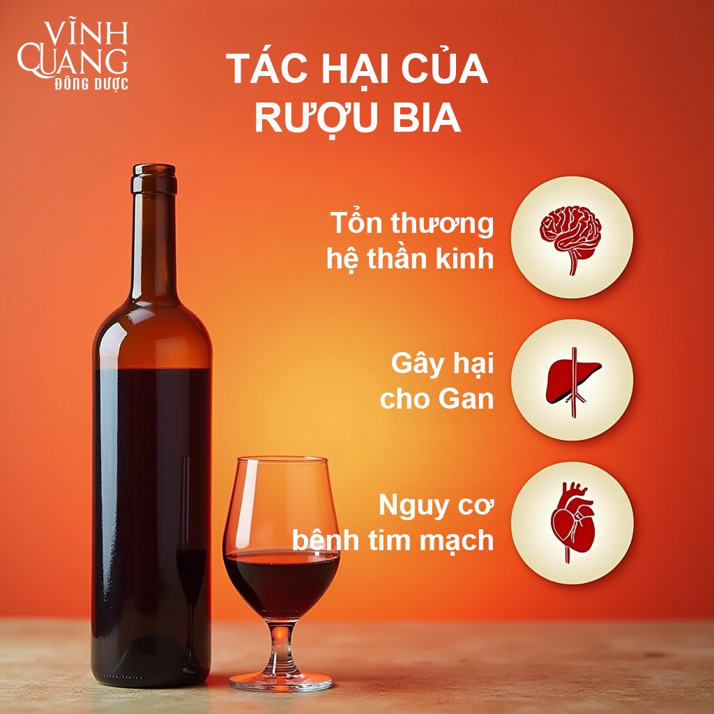 Tác hại bia rượu với gan, thần kinh, tim mạch & giải pháp bảo vệ gan – viquapharm