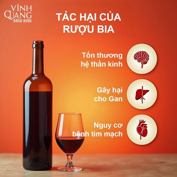Tác hại bia rượu với gan, thần kinh, tim mạch & giải pháp bảo vệ gan – viquapharm