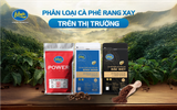 Phân loại cà phê rang xay trên thị trường – Bí quyết chọn đúng gu cho quán cà phê