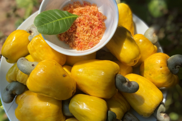 Quả điều có ăn được không? Lợi ích khi sử dụng quả điều