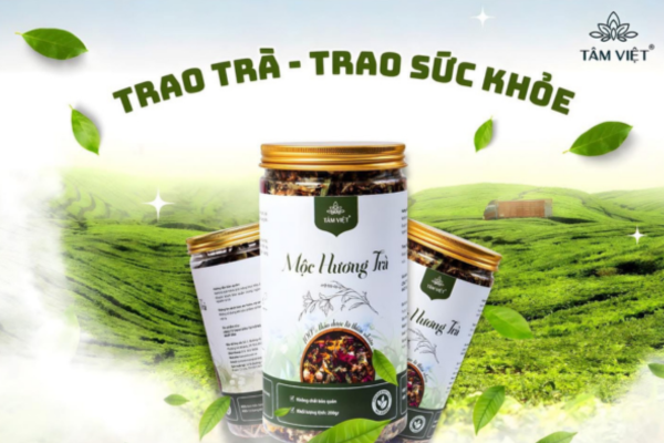 Top 10 trà thảo mộc tăng cường miễn dịch