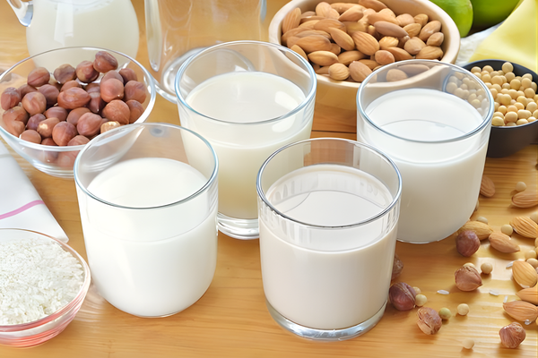 Cách uống sữa hạt giúp tăng cân, khỏe mạnh