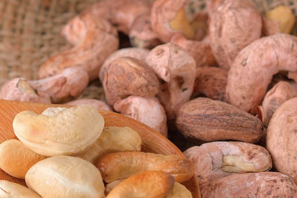 Vỏ hạt điều có ăn được không? Tác dụng của vỏ hạt điều bạn nên biết