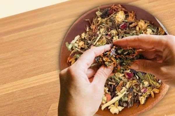 Mộc hương trà là gì? Đặc sản cho người thưởng thức trà Việt