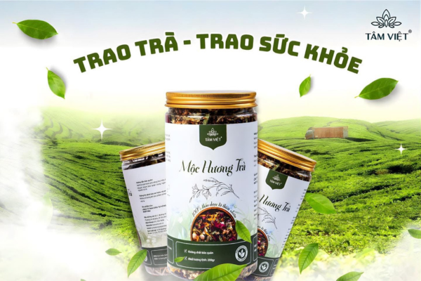 Mộc Hương Trà - Vị trà cho người ưa sự nhẹ nhàng thanh khiết