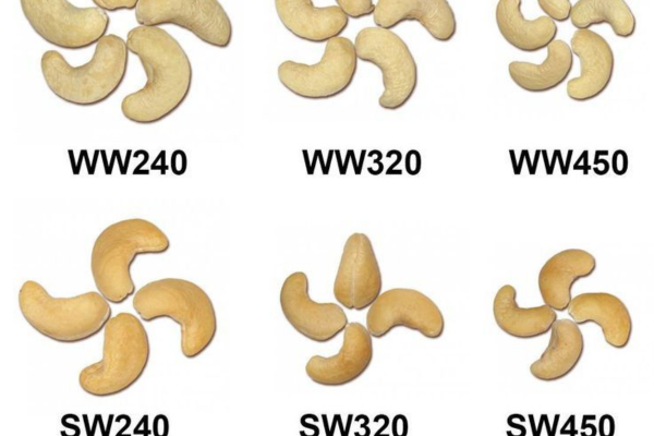 Cách phân loại hạt điều theo mã ký hiệu để lựa chọn loại ngon