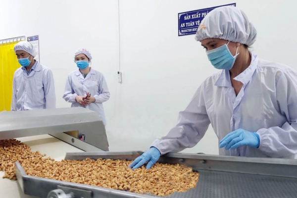 Quy trình kiểm định hạt điều theo tiêu chuẩn quốc tế