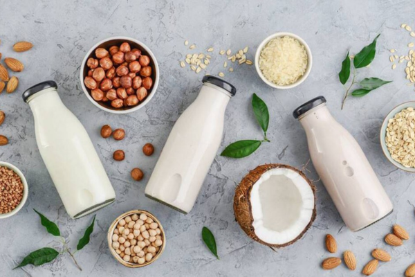 Góc giải đáp thắc mắc: Sữa hạt bảo quản tủ lạnh được bao lâu?