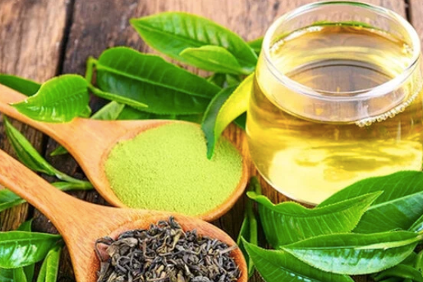 Trà là gì? Các loại trà phổ biến nhất hiện nay