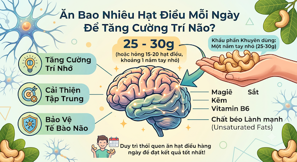 ăn bao nhiêu hạt điều tốt cho não