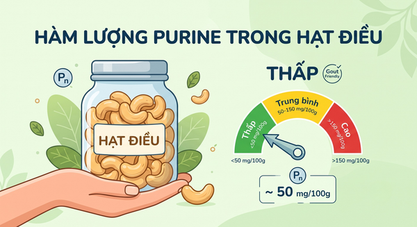 hàm lượng purine trong hạt điều