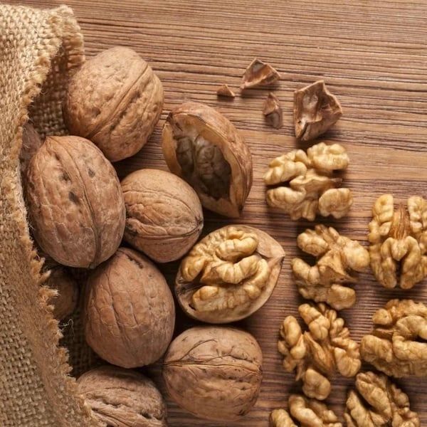 Tại sao hạt óc chó là hạt của não?