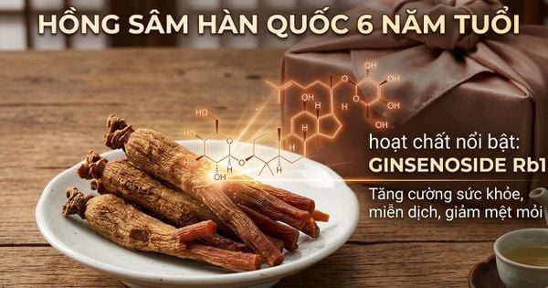 Ginsenoside Rb1: 