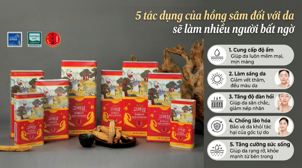 5 tác dụng của hồng sâm đối với da sẽ làm nhiều người bất ngờ