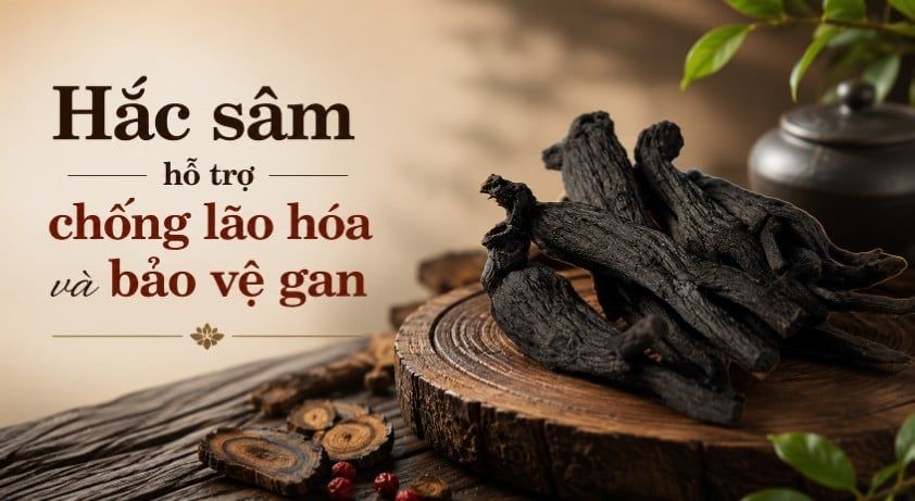 Công dụng của hắc sâm: 