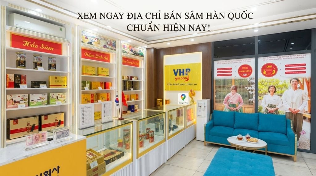 Mua nhầm sâm giả? Xem ngay địa chỉ bán sâm Hàn Quốc chuẩn hiện nay!